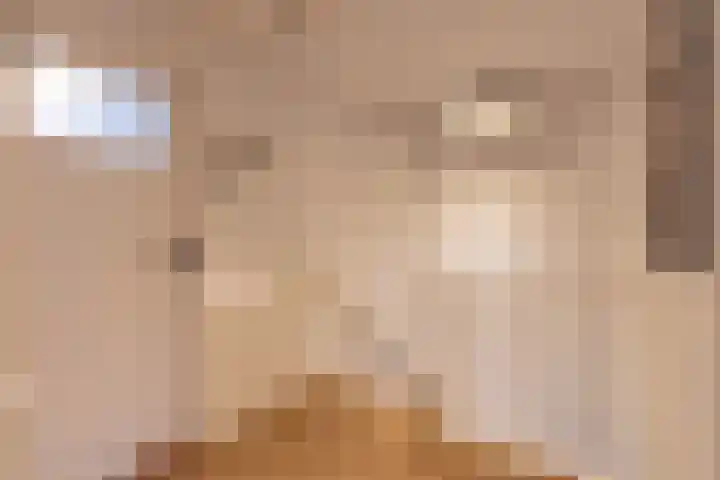 Broek 5 Holthees thumbnail 75