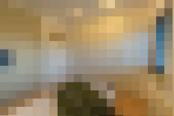 Broek 5 Holthees thumbnail 79