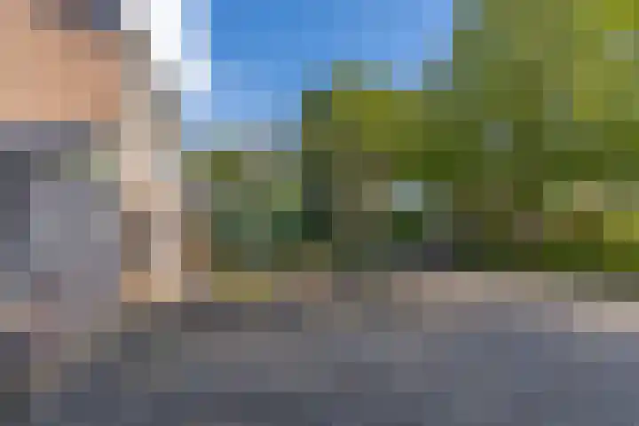 Broek 5 Holthees thumbnail 8