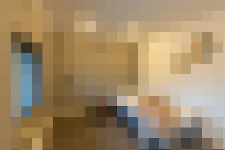 Broek 5 Holthees thumbnail 84