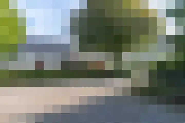 Broek 5 Holthees thumbnail 9