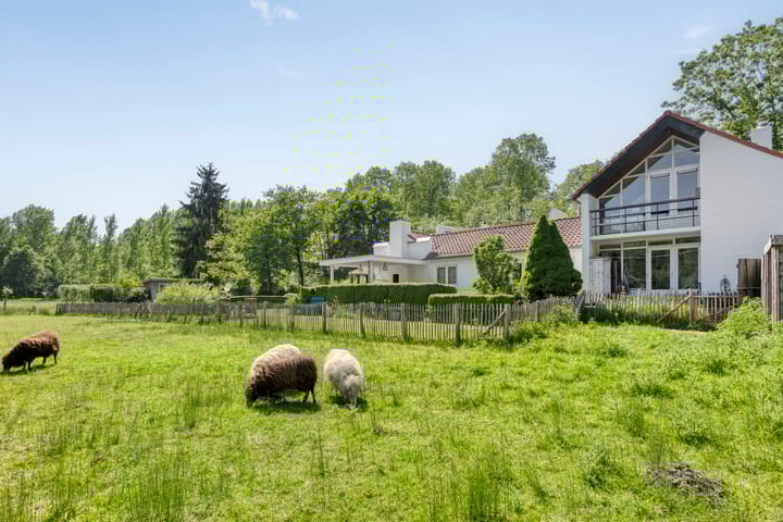 Broek 6 in Nuenen Foto