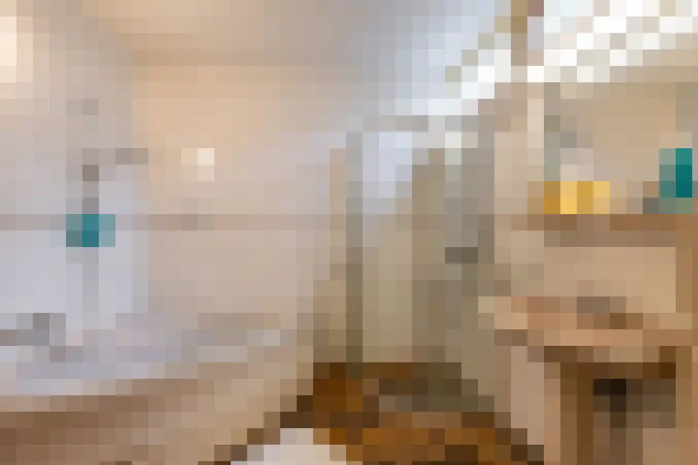 Broek 6 Gieterveen thumbnail 5