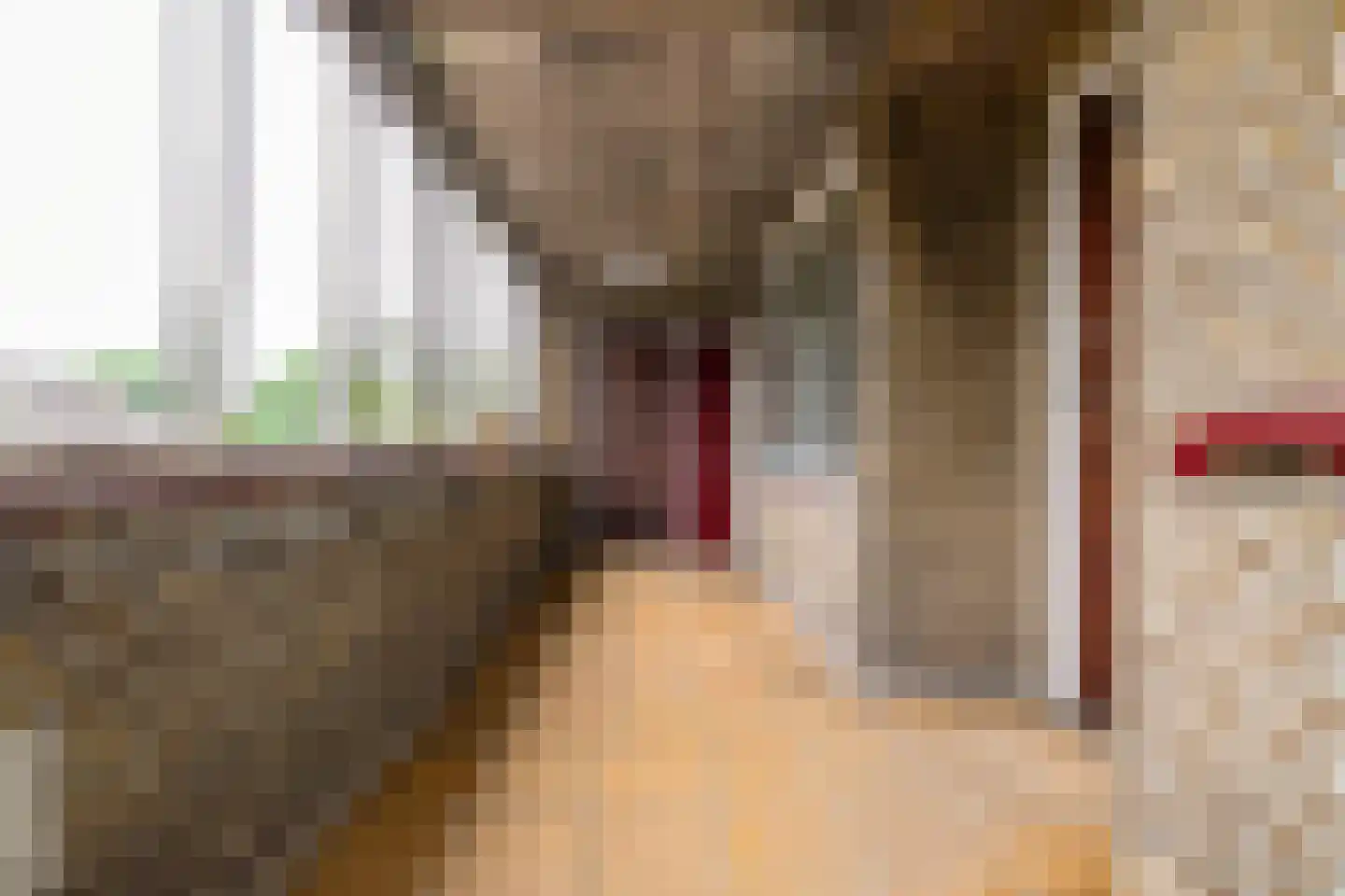Broek 6 Gieterveen thumbnail 53
