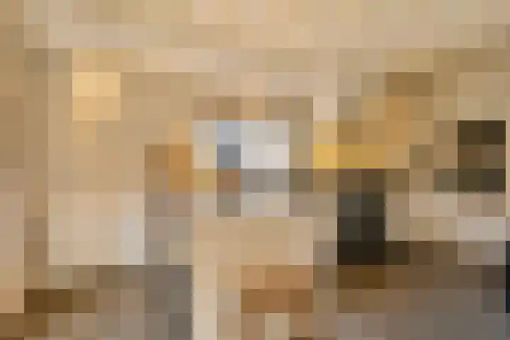 Broek 6 Nuenen thumbnail 13