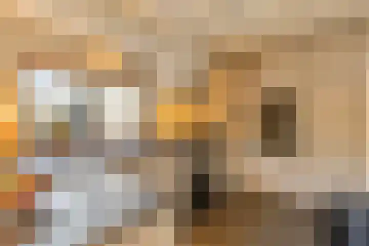 Broek 6 Nuenen thumbnail 14