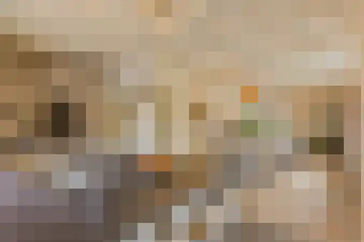 Broek 6 Nuenen thumbnail 17