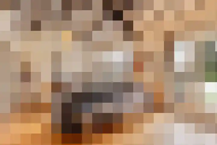 Broek 6 Nuenen thumbnail 19