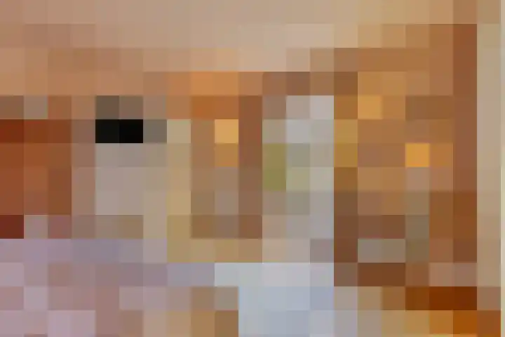 Broek 6 Nuenen thumbnail 25