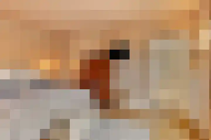 Broek 6 Nuenen thumbnail 26