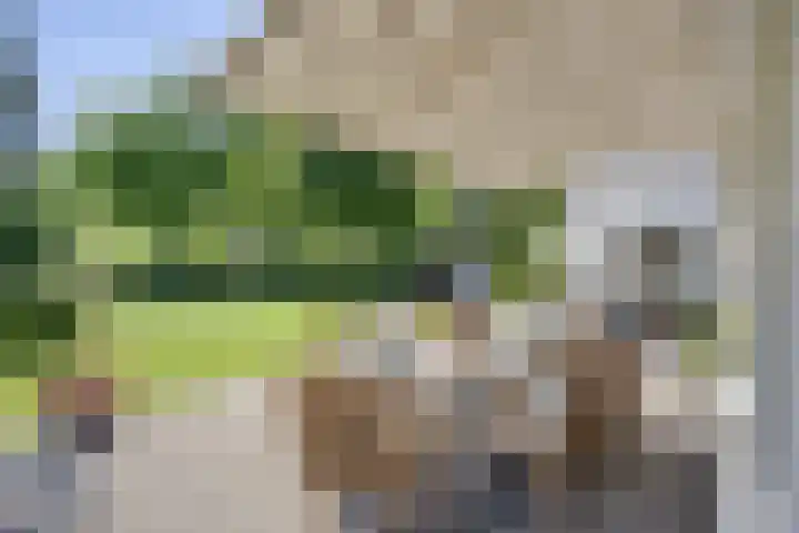 Broek 6 Nuenen thumbnail 41