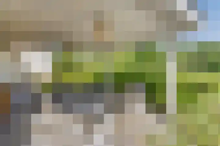 Broek 6 Nuenen thumbnail 42