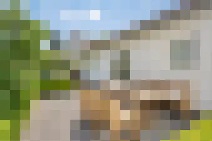 Broek 6 Nuenen thumbnail 43