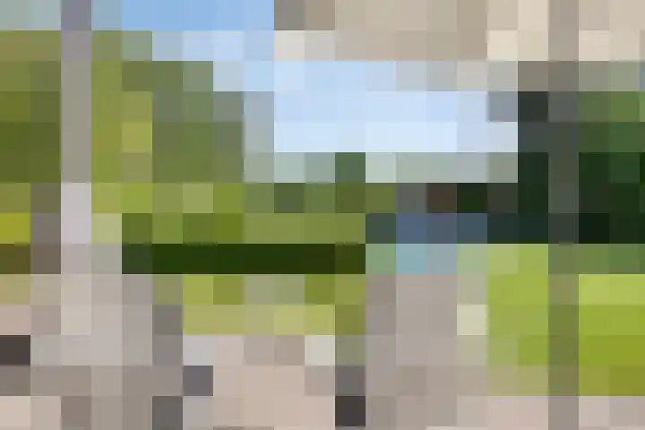 Broek 6 Nuenen thumbnail 45