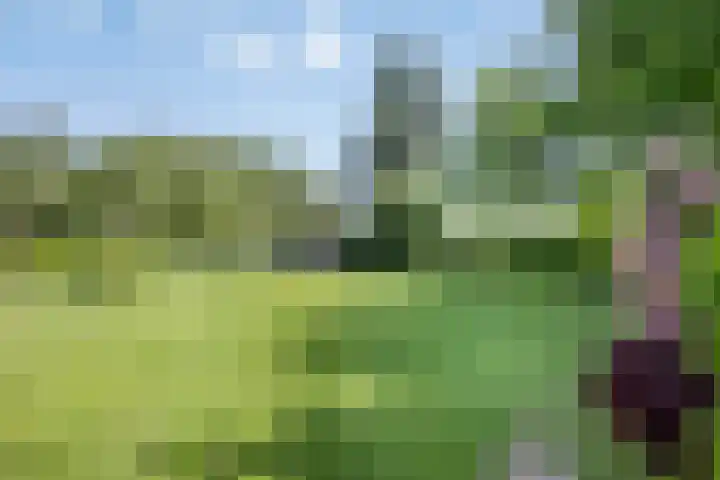 Broek 6 Nuenen thumbnail 47