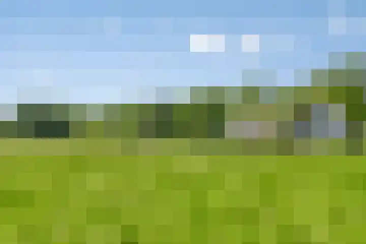Broek 6 Nuenen thumbnail 48