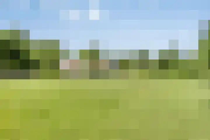 Broek 6 Nuenen thumbnail 49