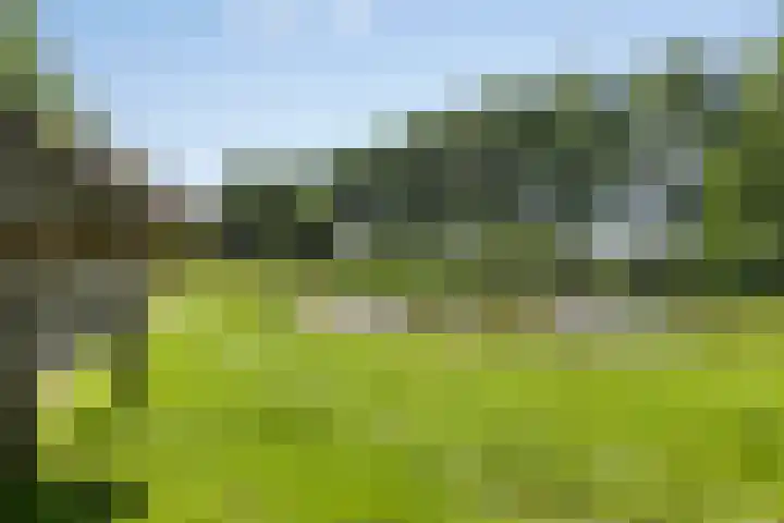 Broek 6 Nuenen thumbnail 50