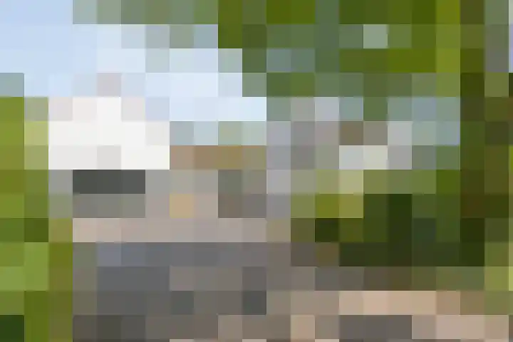 Broek 6 Nuenen thumbnail 51