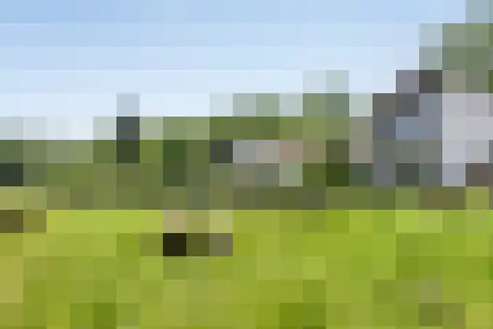 Broek 6 Nuenen thumbnail 56