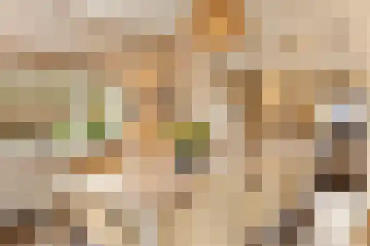 Broek 6 Nuenen thumbnail 8