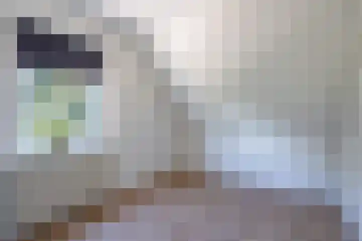 Broek 67 Gieterveen thumbnail 15