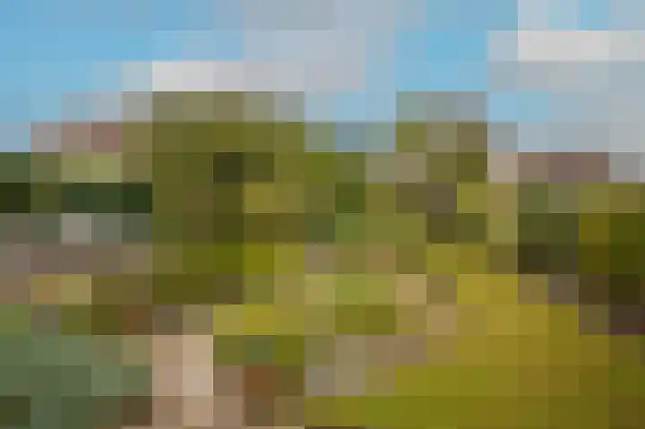 Broek 7 Druten thumbnail 43