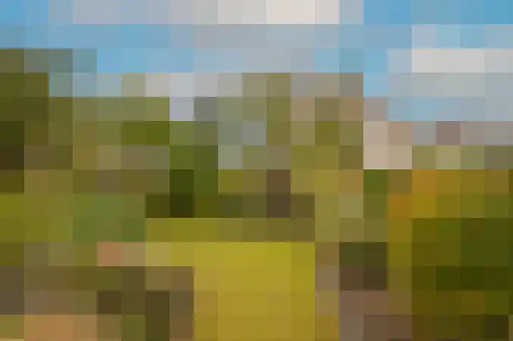 Broek 7 Druten thumbnail 48