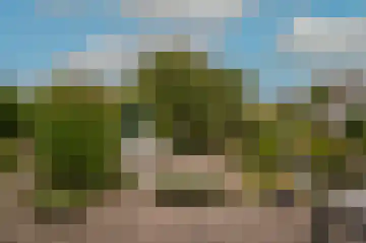 Broek 7 Druten thumbnail 53