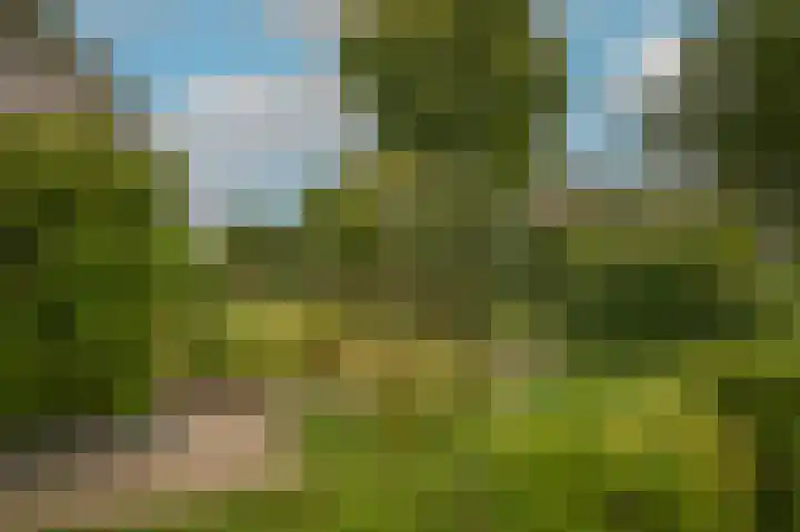 Broek 7 Druten thumbnail 55
