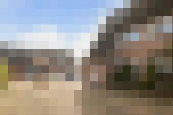 Broekakker 34 Breda thumbnail 28
