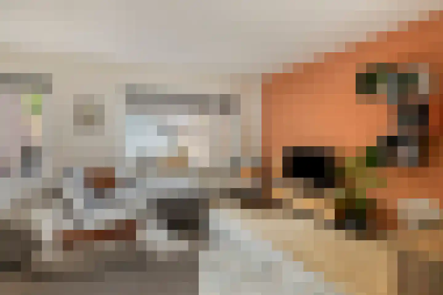 Broekakker 7 Breda thumbnail 11
