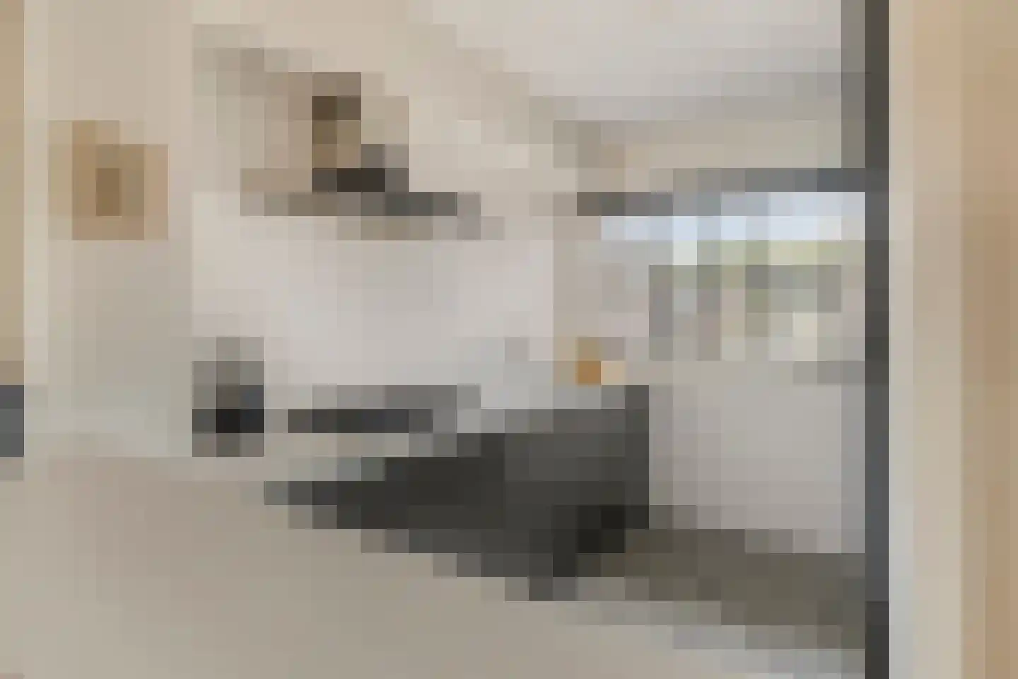 Broekakker 7 Breda thumbnail 15
