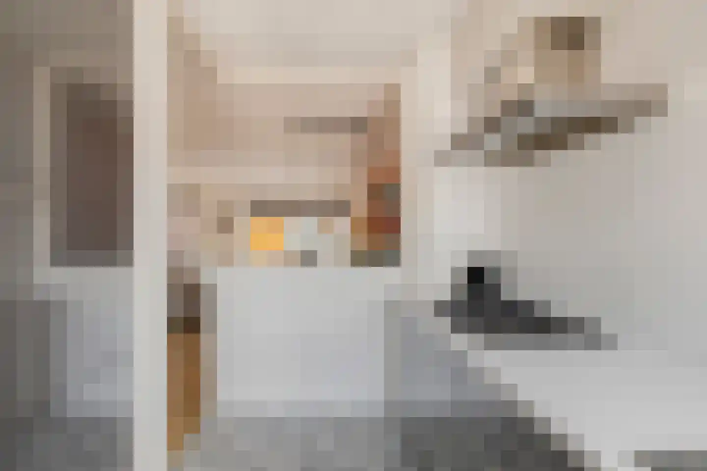 Broekakker 7 Breda thumbnail 18