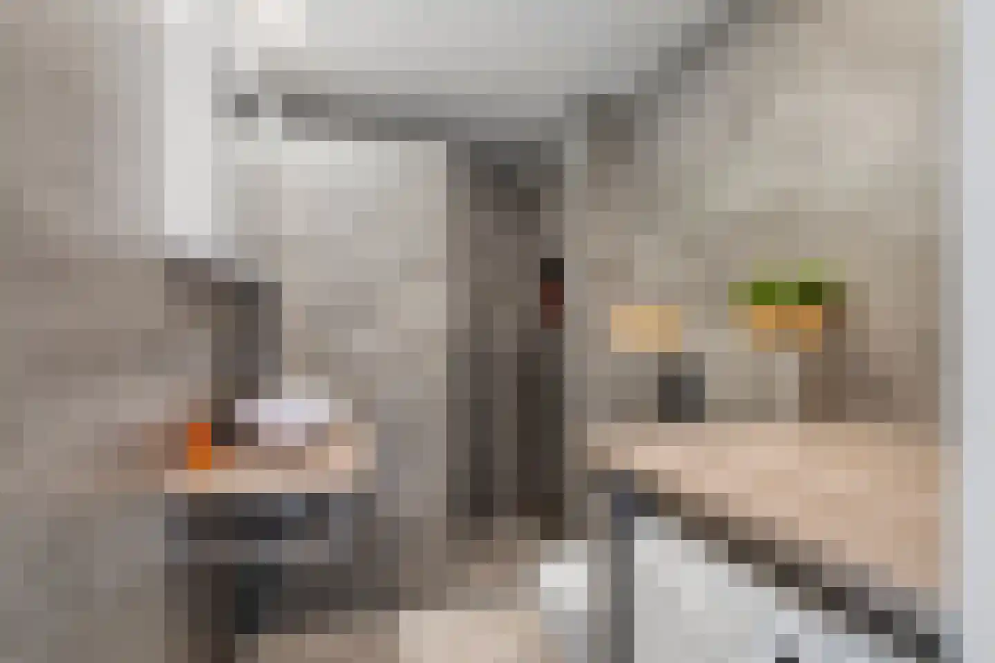 Broekakker 7 Breda thumbnail 19