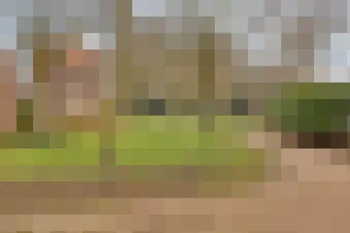 Broekakkerseweg 16 Eindhoven thumbnail 33