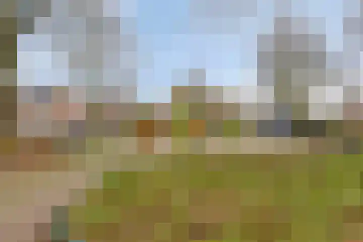 Broekakkerseweg 16 Eindhoven thumbnail 36