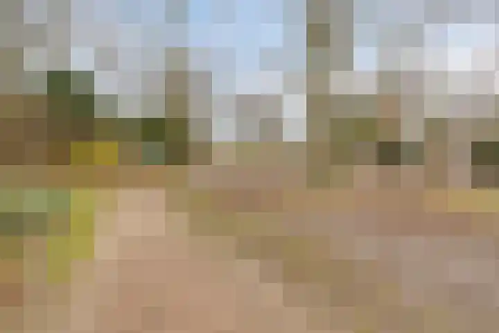 Broekakkerseweg 16 Eindhoven thumbnail 37