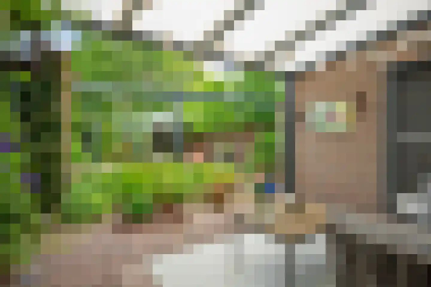 Broekbeek 20 Geleen thumbnail 26