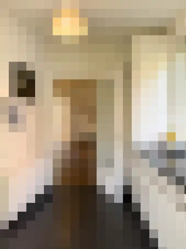 Broekbeeklaan 4 Bergen (NH) thumbnail 16