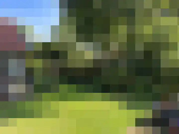 Broekbeeklaan 4 Bergen (NH) thumbnail 37