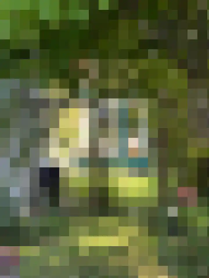 Broekbeeklaan 4 Bergen (NH) thumbnail 39