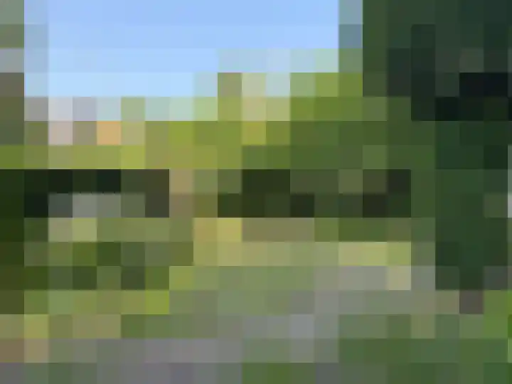 Broekbeeklaan 4 Bergen (NH) thumbnail 40