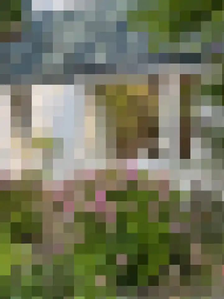 Broekbeeklaan 4 Bergen (NH) thumbnail 42