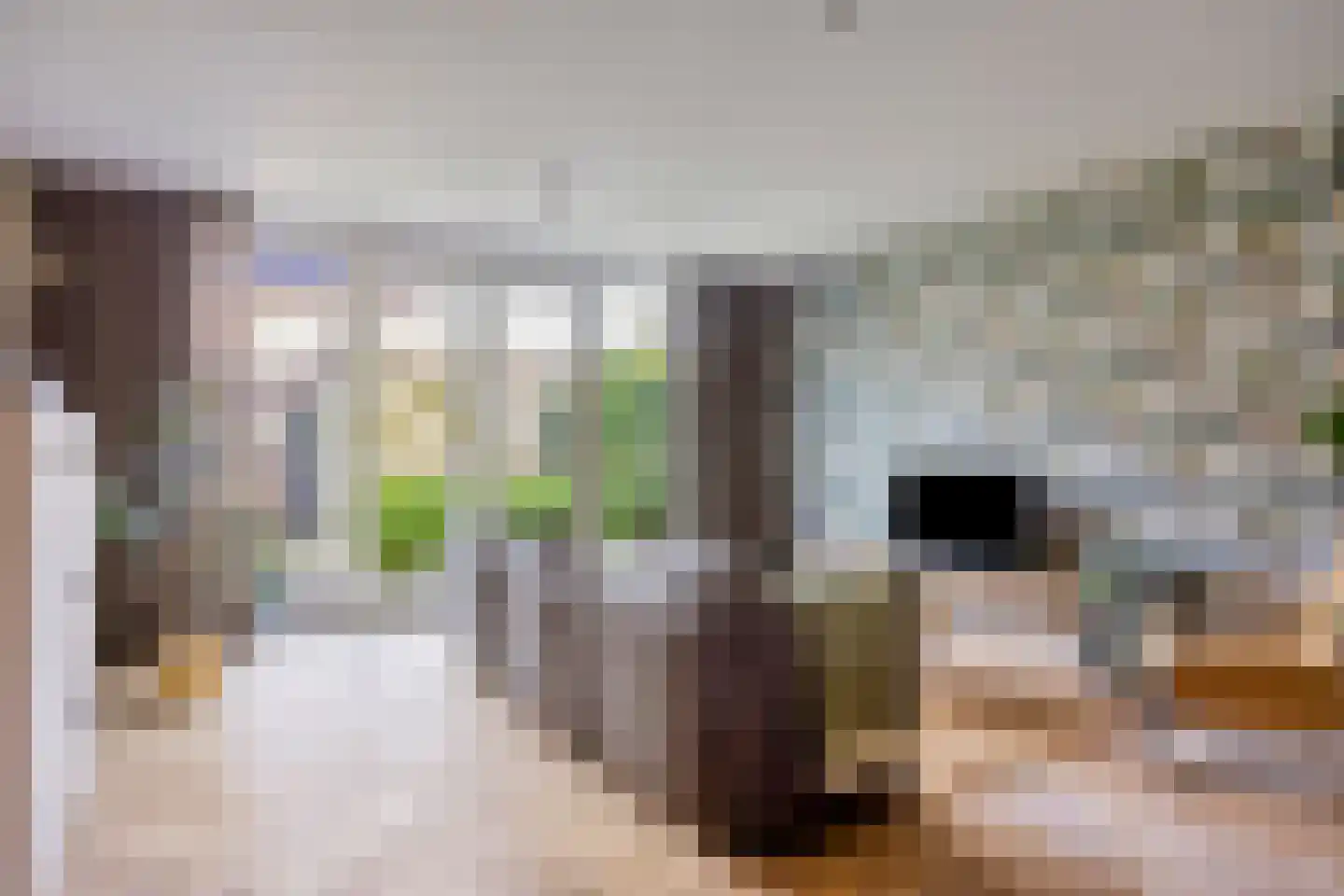 Broekbeemd 19 Best thumbnail 13