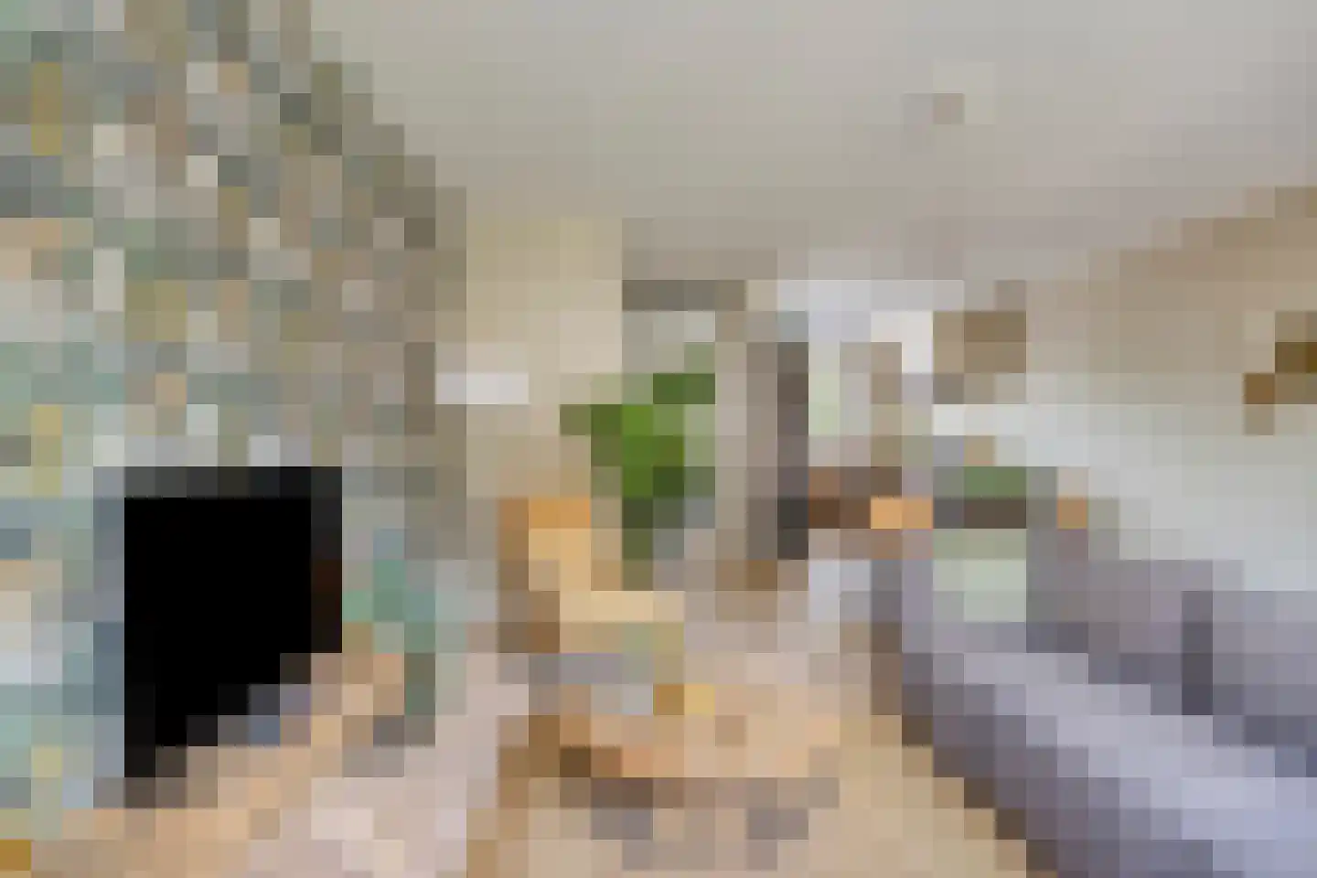 Broekbeemd 19 Best thumbnail 14