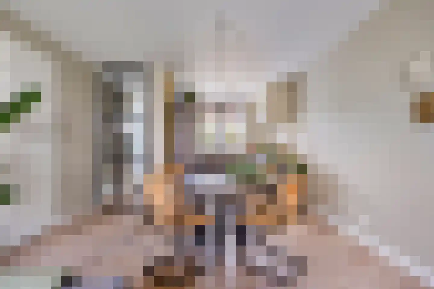 Broekbeemd 19 Best thumbnail 17