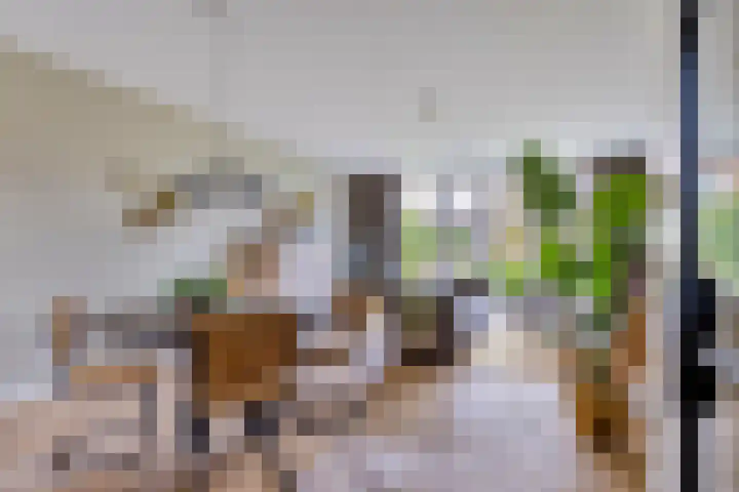Broekbeemd 19 Best foto 2