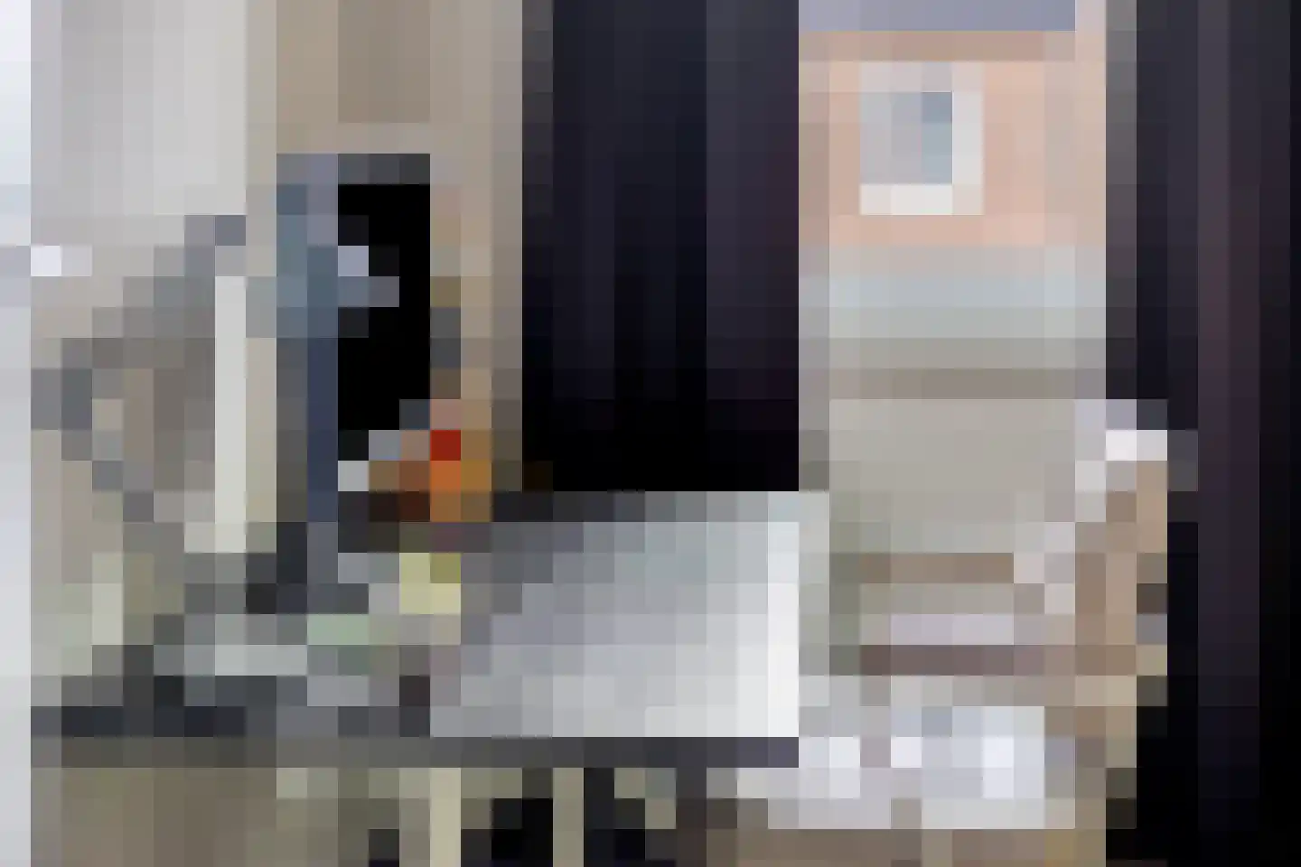 Broekbeemd 19 Best thumbnail 38