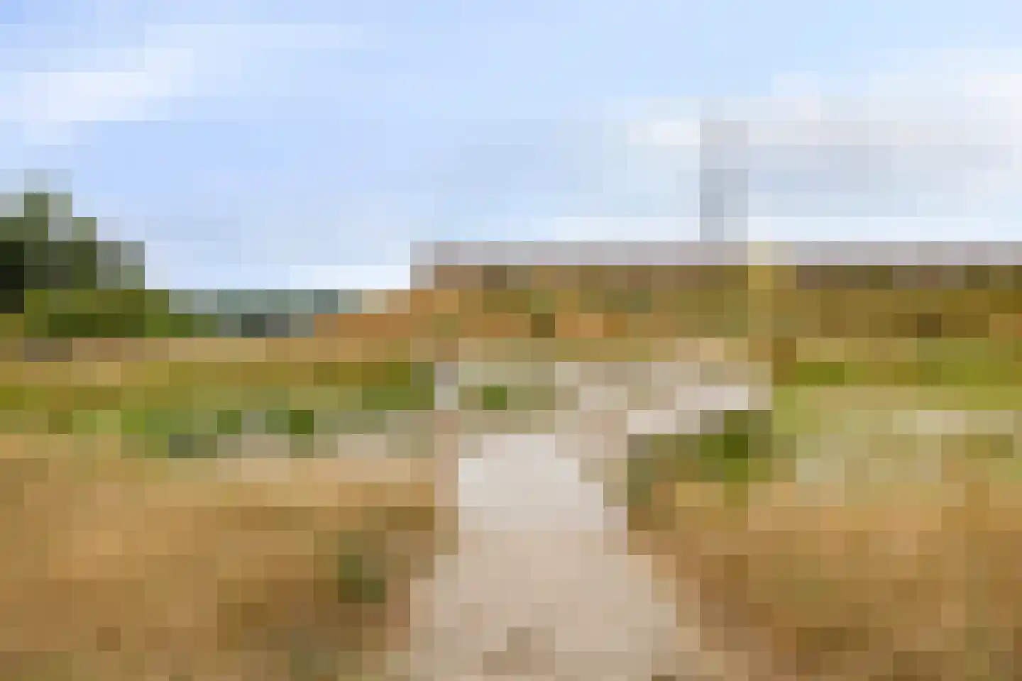 Broekbeemd 19 Best thumbnail 50